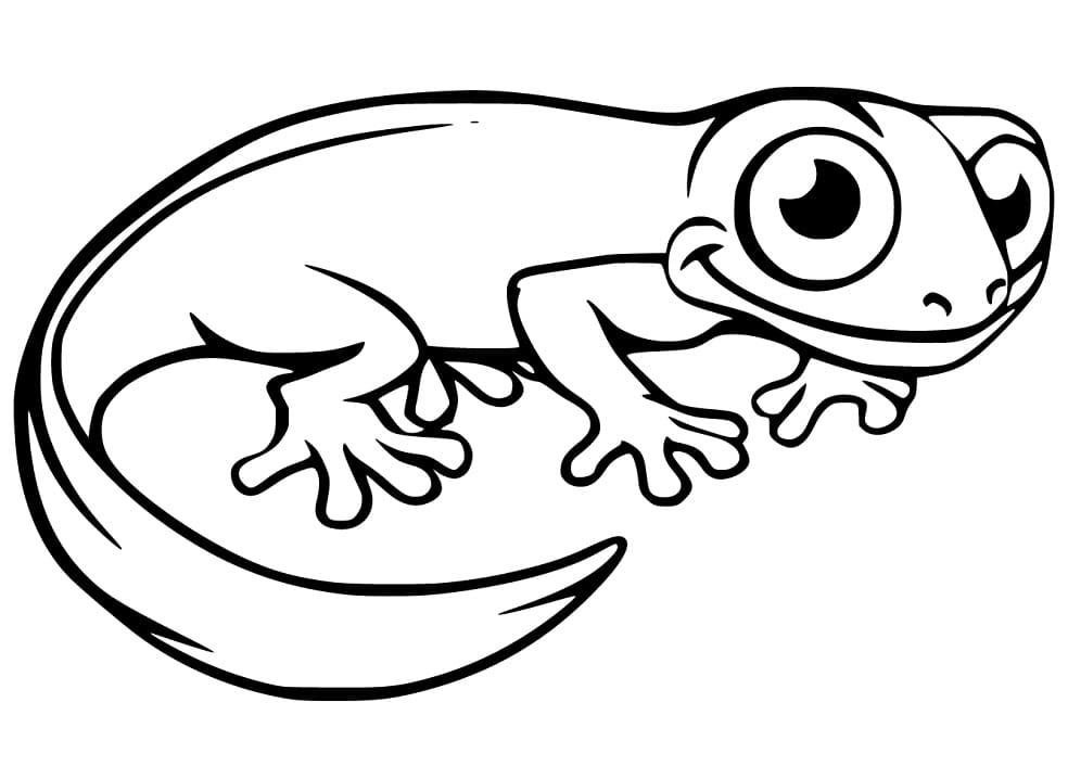 Adorable newt fãrbung seite