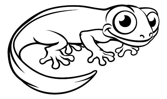 Newt or salamander cartoon character stock illustration