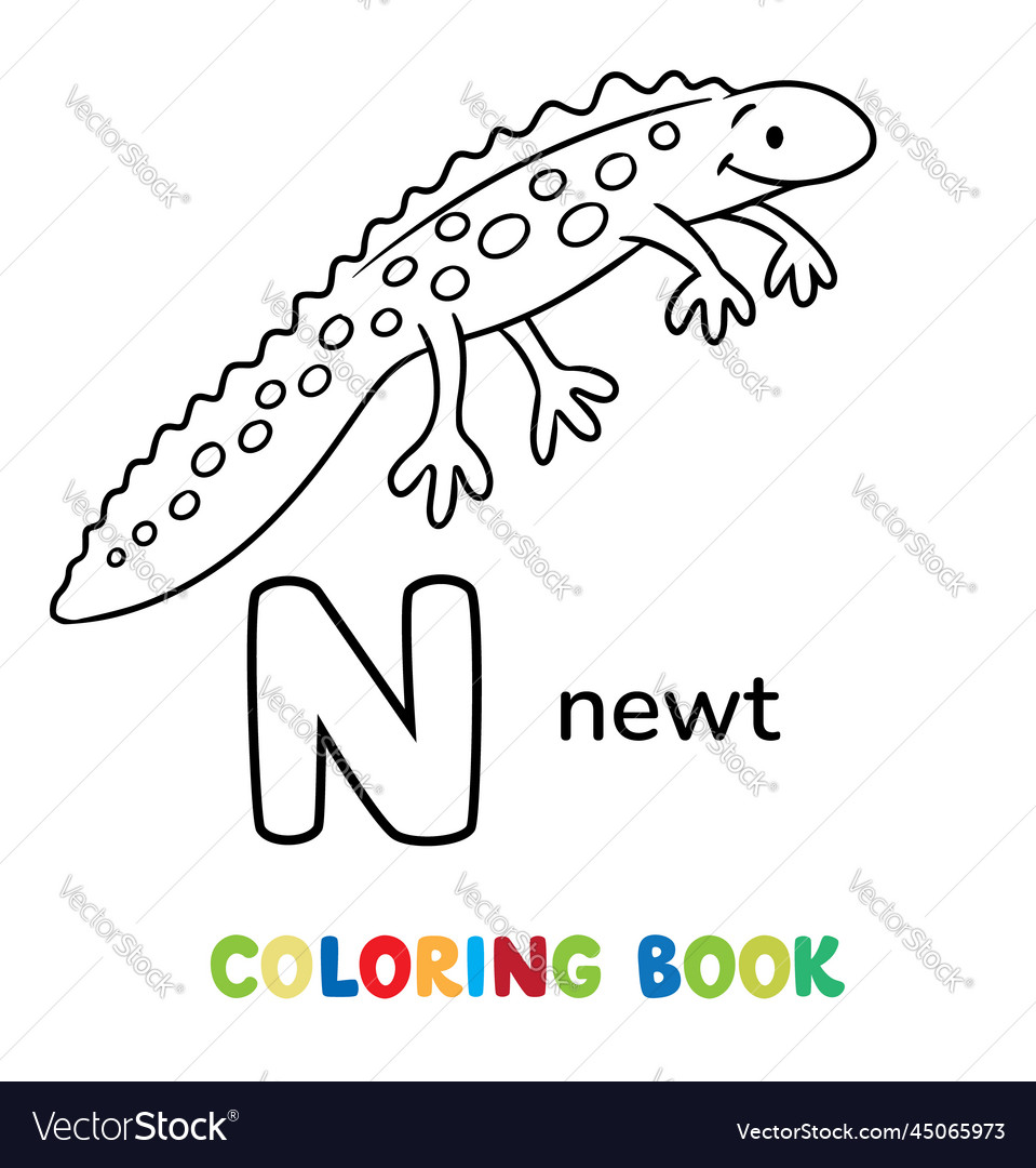 Newt animals abc coloring book for kids royalty free vector