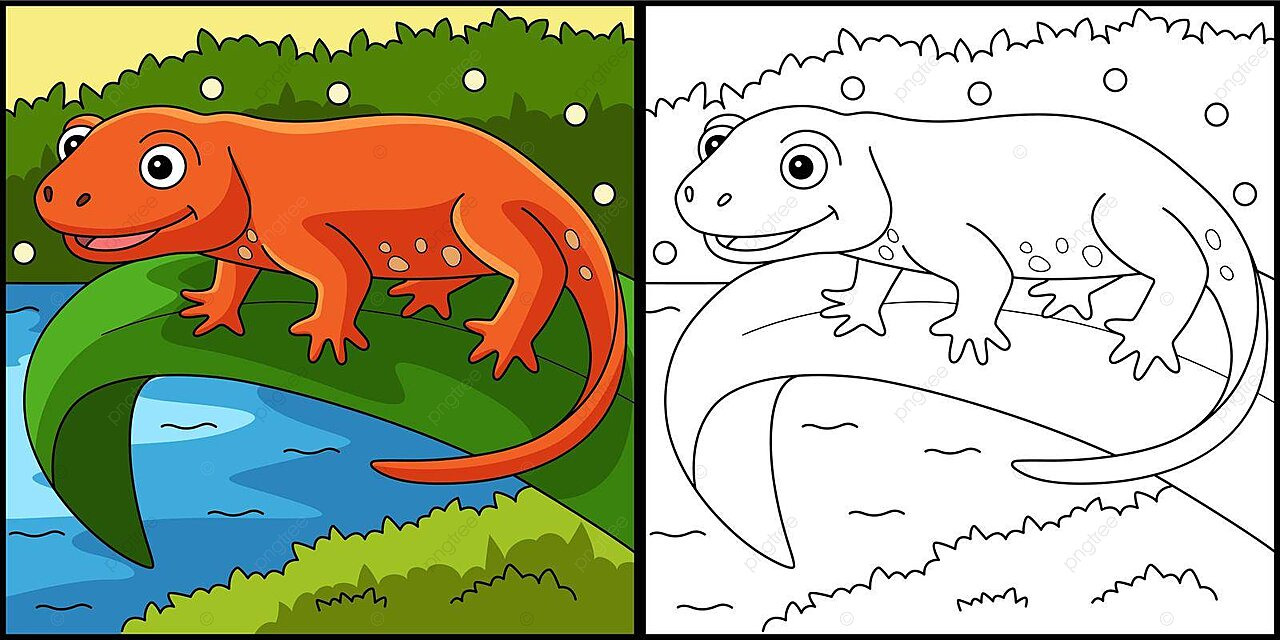 Newt animal coloring page colored illustration cartoon reptile colored vector cartoon reptile colored png and vector with transparent background for free download