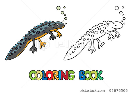 Funny sweeming newt kids coloring book vector