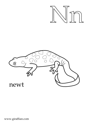 Newt kids stuff