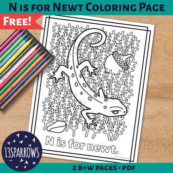 Animal alphabet coloring pages n is for newt by sparrows tpt
