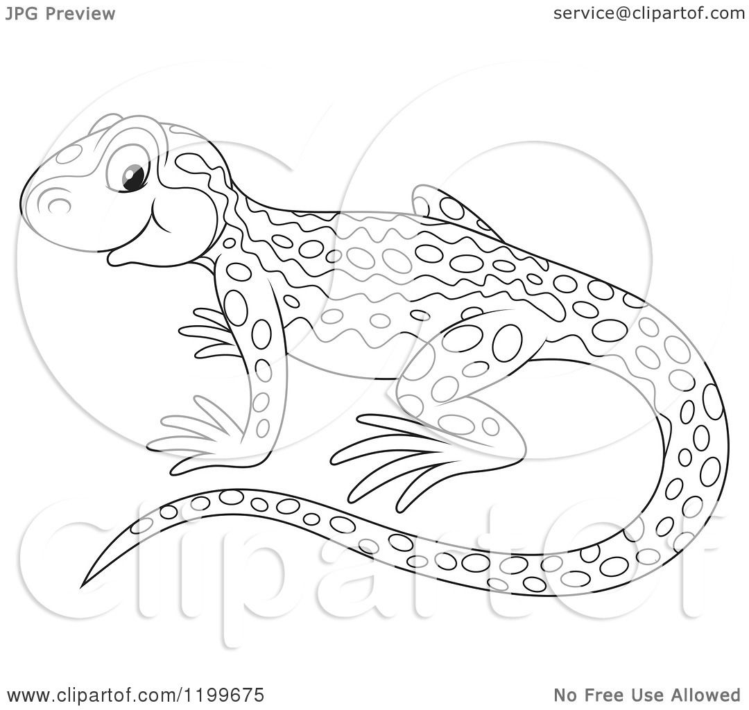 Cartoon of a black and white cute newt