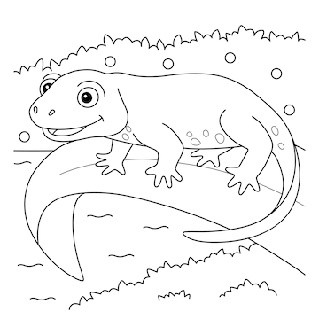 Premium vector newt animal coloring page for kids
