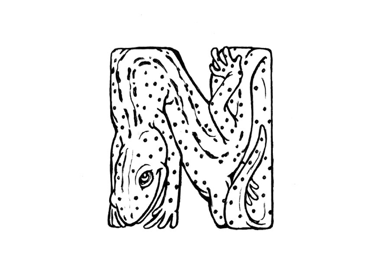 Coloring page n