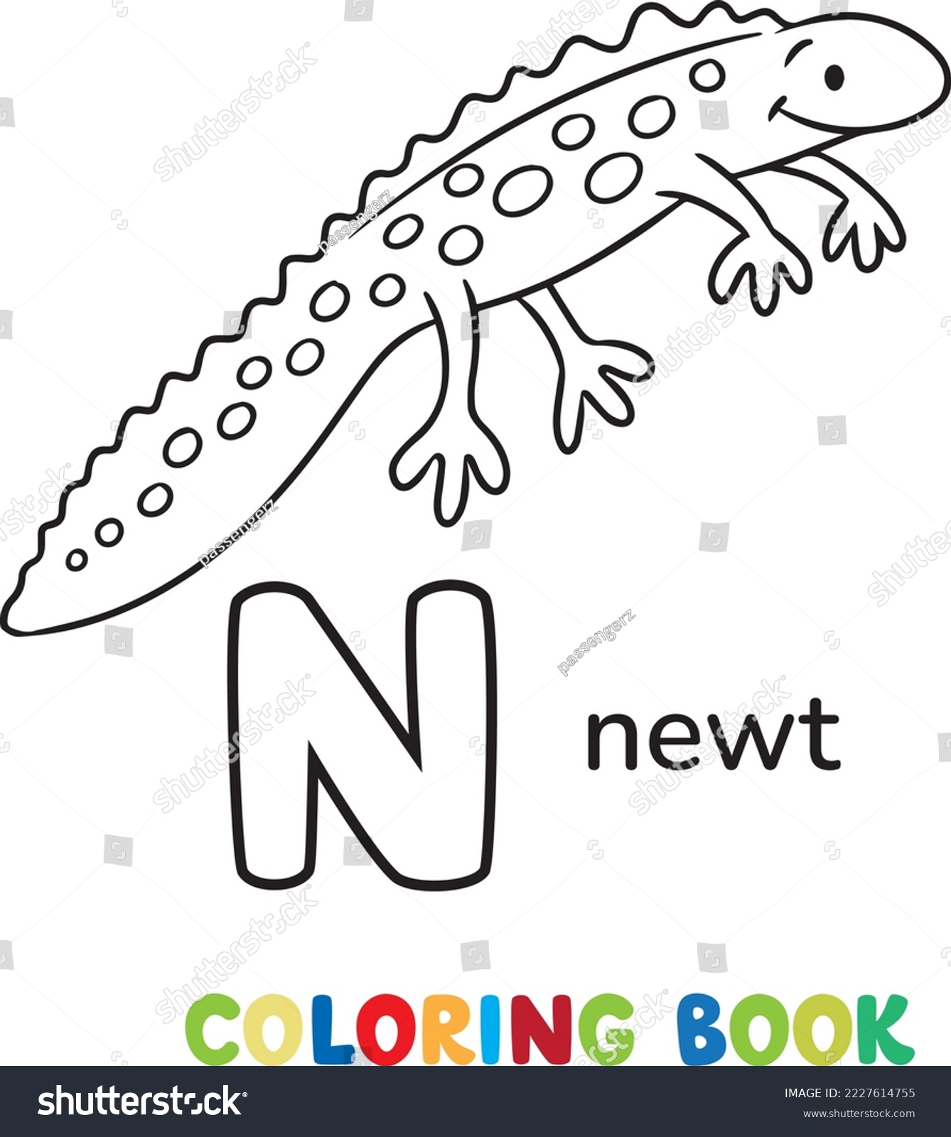 Newt coloring pages over royalty