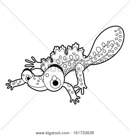 Coloring pattern page vector photo free trial bigstock