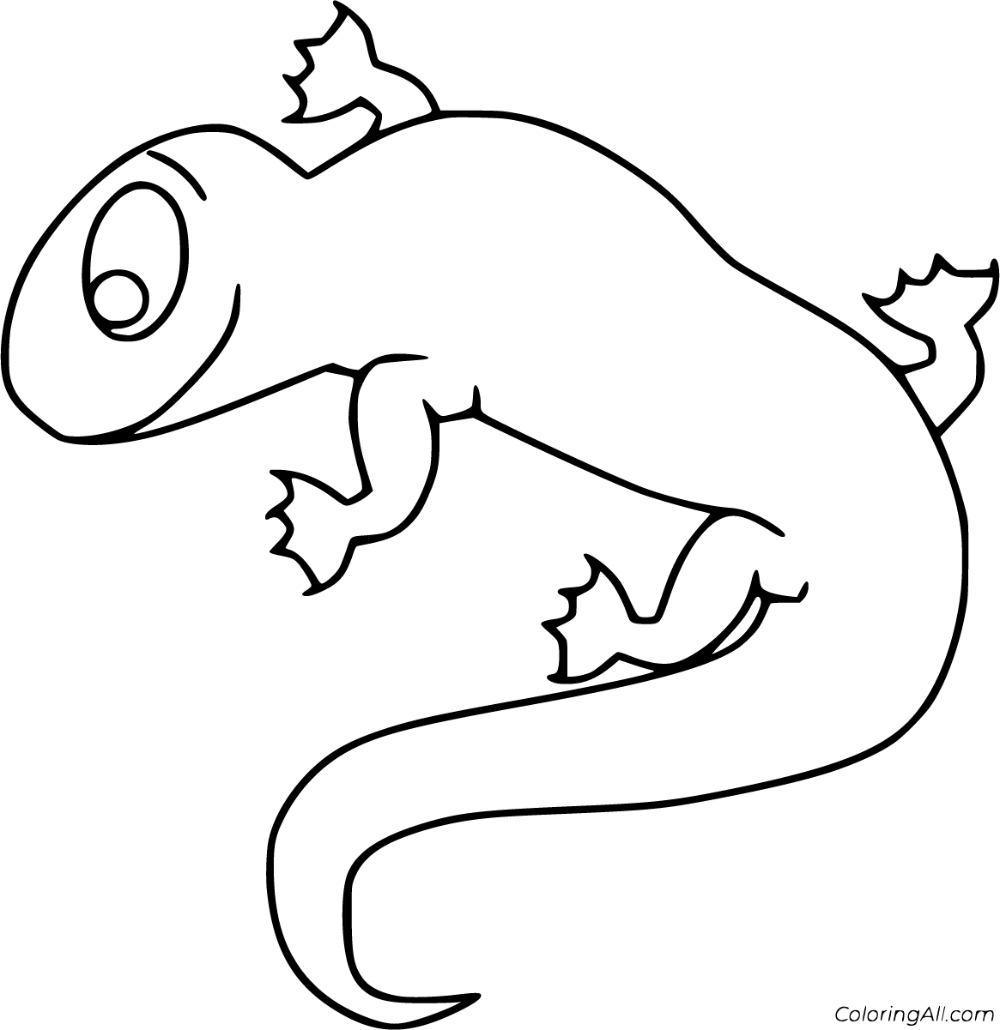 Free printable newt coloring pages in vector format easy to print from any device and automatically â coloring pages animal coloring pages animal printables
