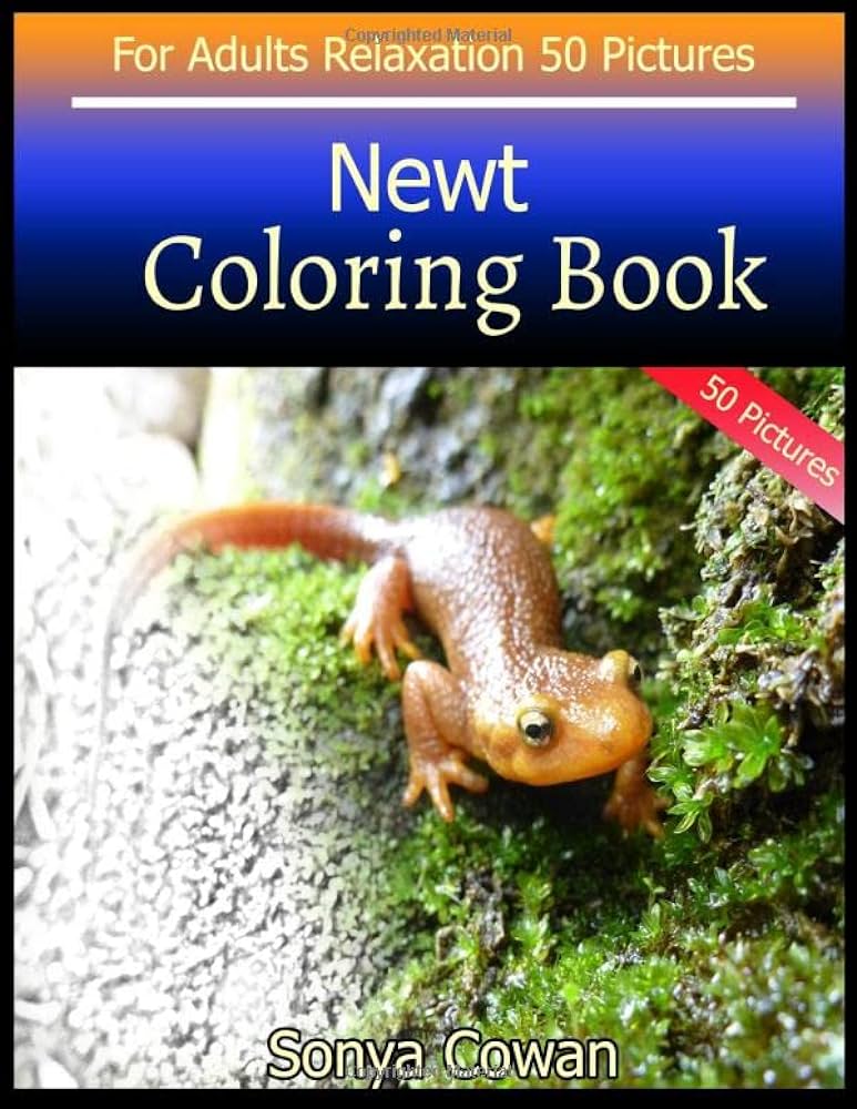 Newt coloring book for adults relaxation pictures newt sketch coloring book creativity and mindfulness books
