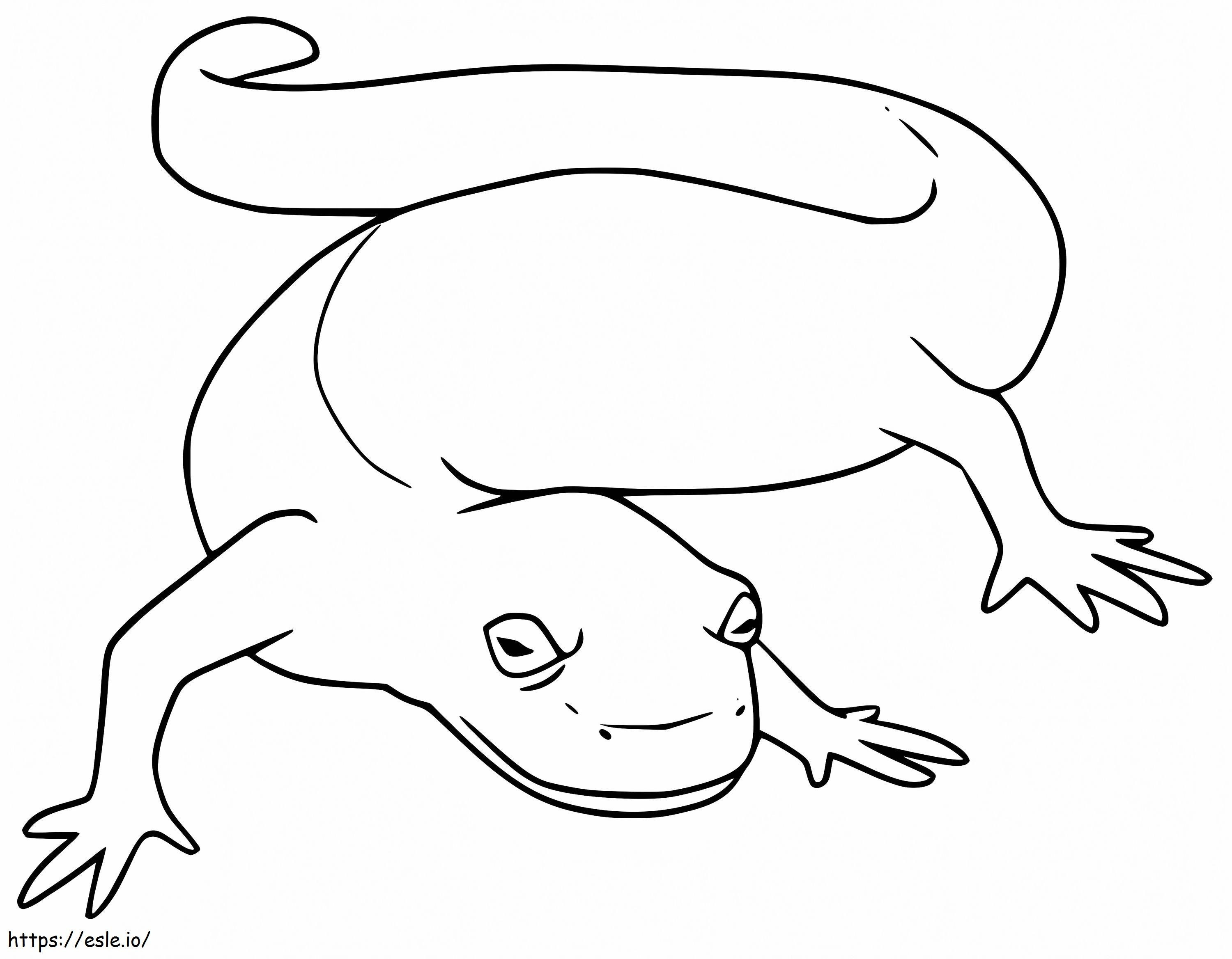 Simple newt coloring page