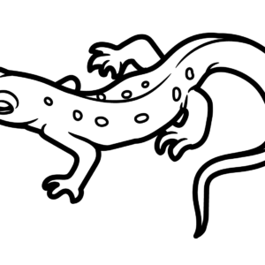 Newt coloring pages printable for free download