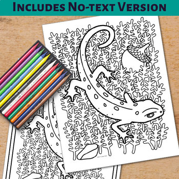 Animal alphabet coloring pages n is for newt by sparrows tpt