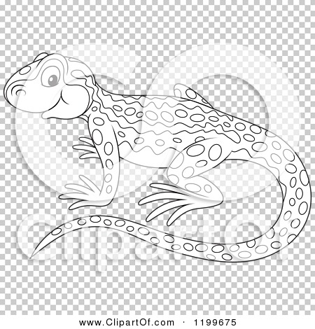 Cartoon of a black and white cute newt
