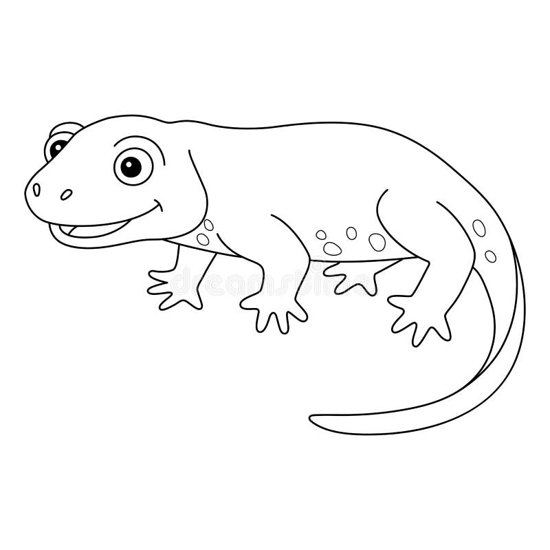 Coloring newt stock illustrations â coloring newt stock illustrations vectors clipart