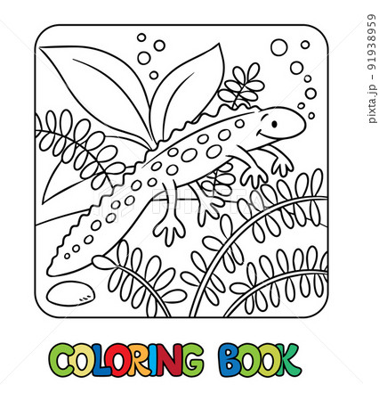 Funny sweeming newt kids coloring book vectorãããããç æ
