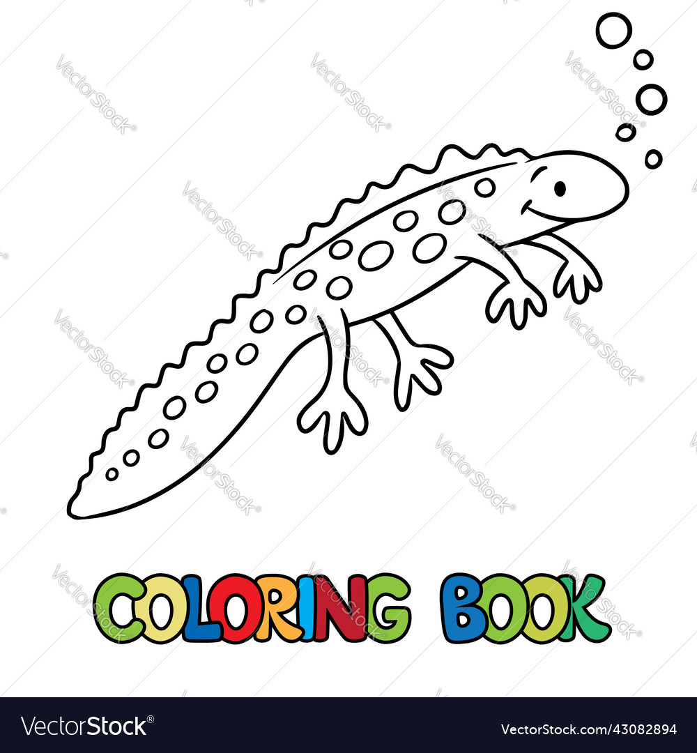 Funny sweeming newt kids coloring book royalty free vector
