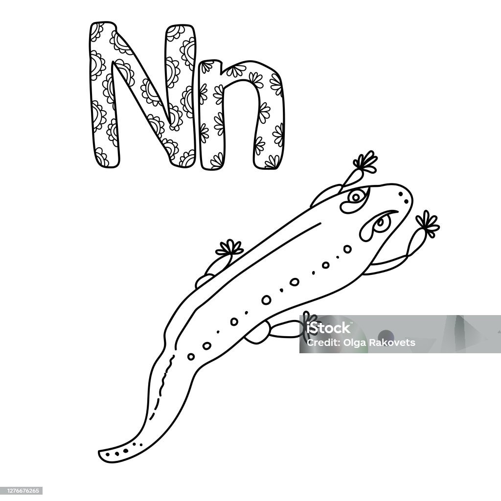 Coloring page for study letter n outline illustration of newt and volumetric letters with patterns stock illustration