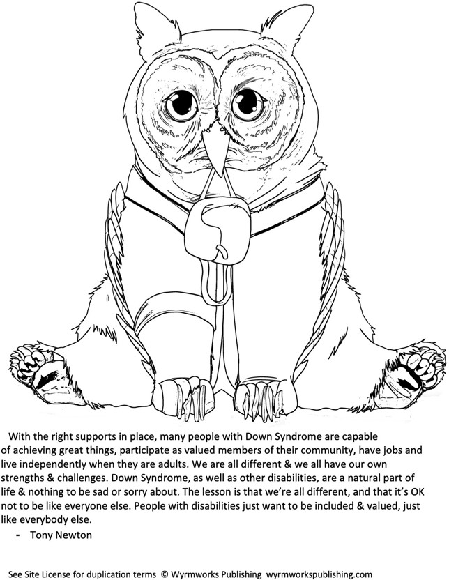 Limitless heroics the coloring book