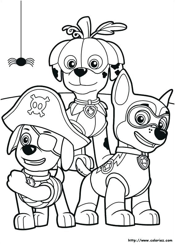 Pin on livre de coloriage