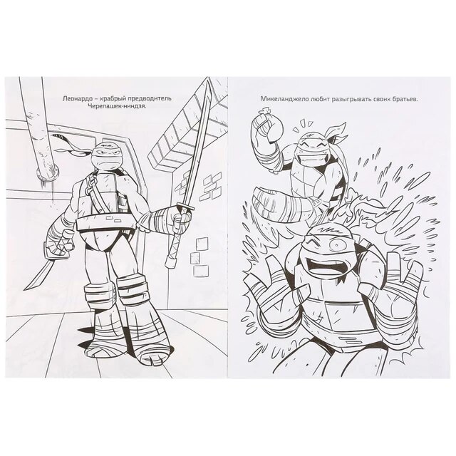 Ninja warriors ninja turtles cartoon a coloring page pages