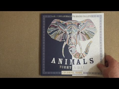 Animals night day coloring book amazing animals to bring to life flip through