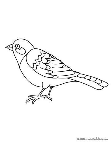 Nightingale coloring pages