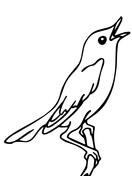 Nightingales coloring pages free coloring pages