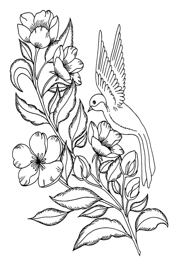 Nightingale coloring pages
