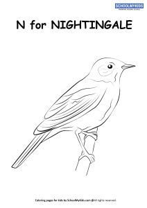 N for nightingale coloring page worksheet for preschoolkindergarten grade