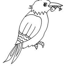 Nightingale coloring pages