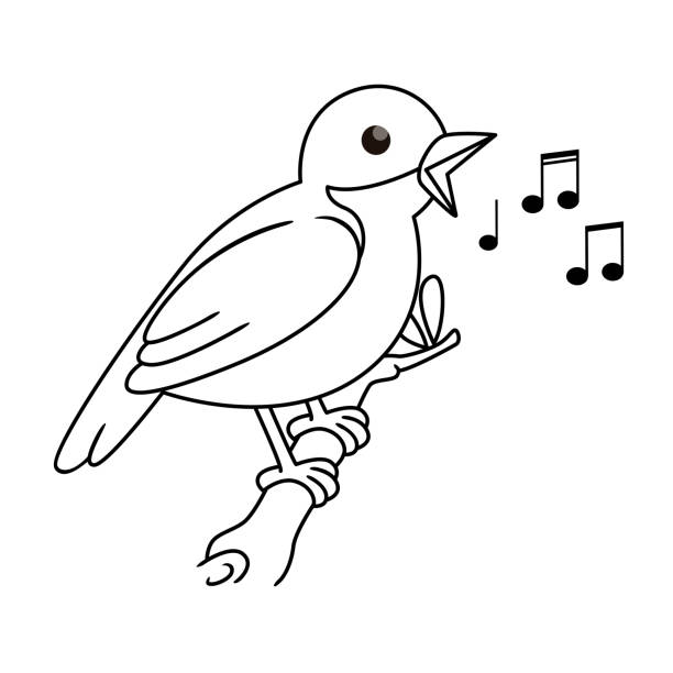 Vector illustration of nightingale isolated on white background for kids coloring book stock illustration
