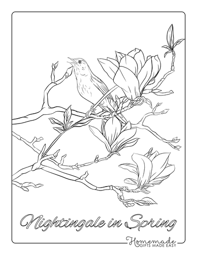 Free printable spring coloring pages for kids adults