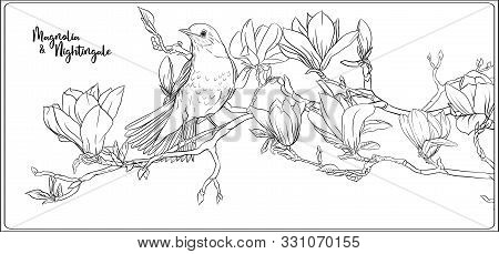 Magnolia tree branch vector photo free trial bigstock