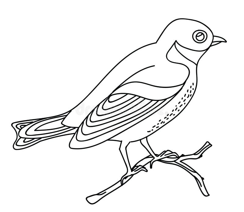 Nightingale coloring stock illustrations â nightingale coloring stock illustrations vectors clipart