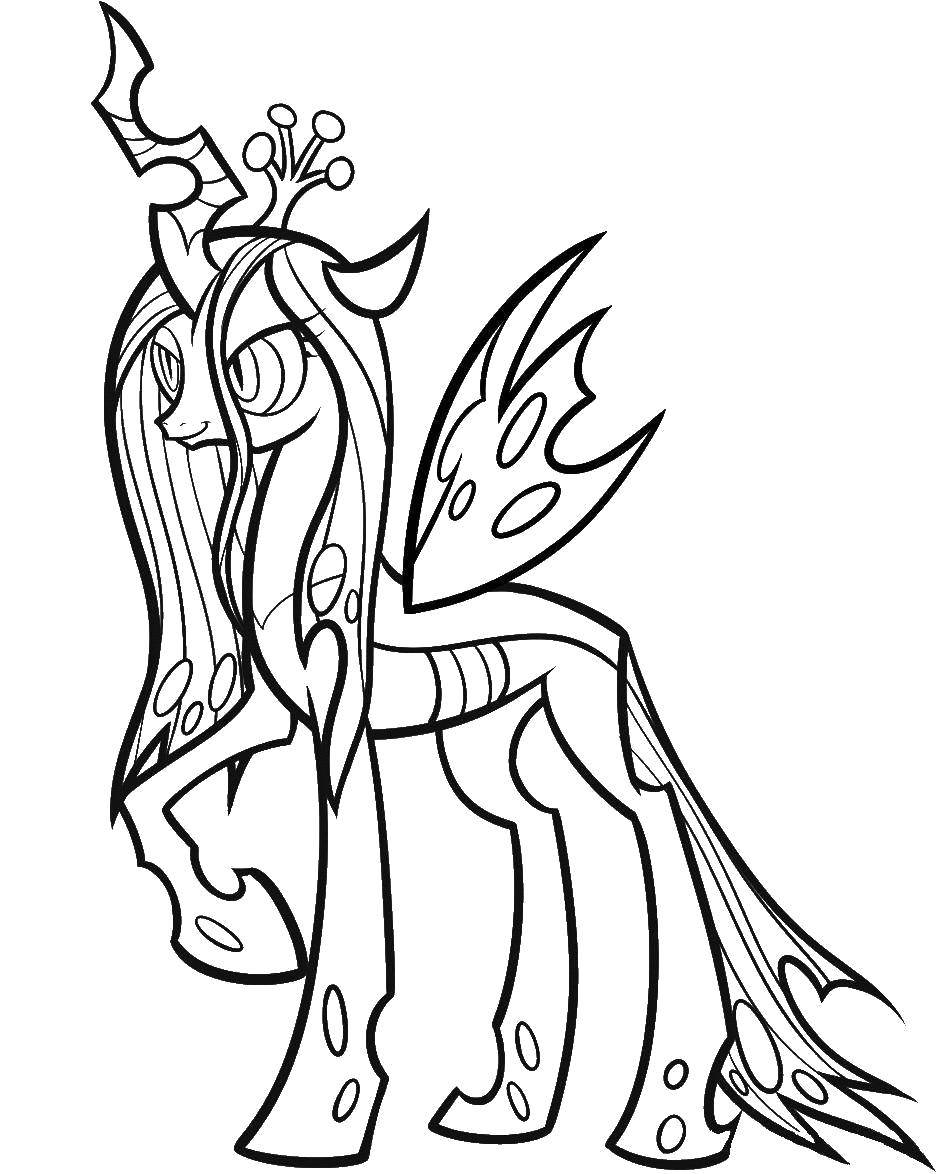 Online coloring pages coloring page beautiful pony pony download print coloring page