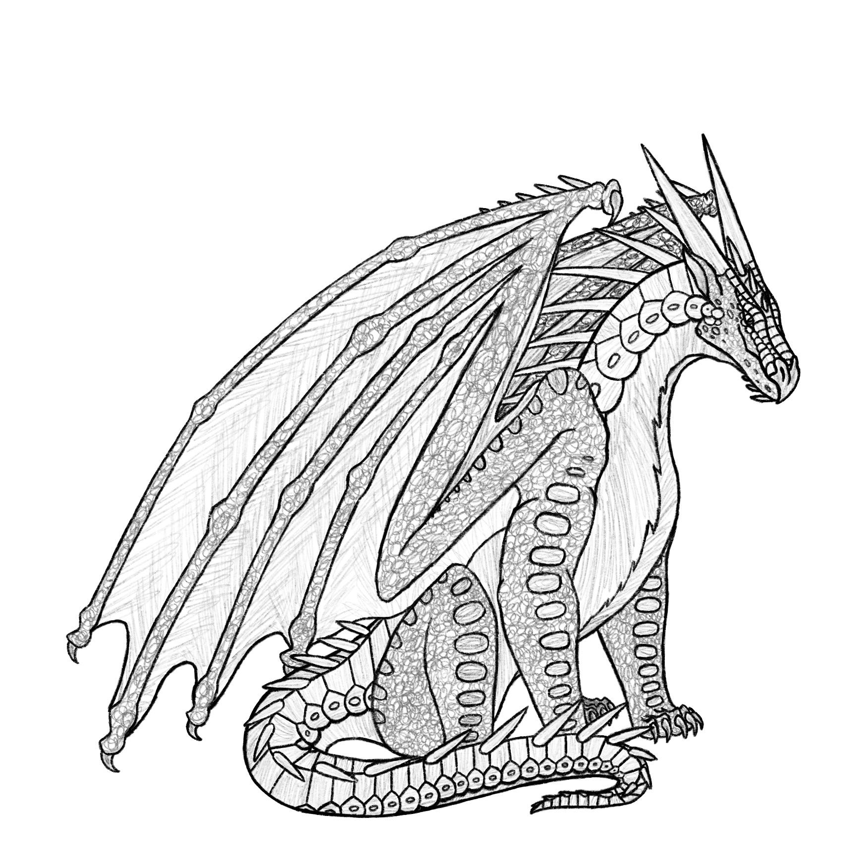 Nightwing mystery adopt rwingsoffire
