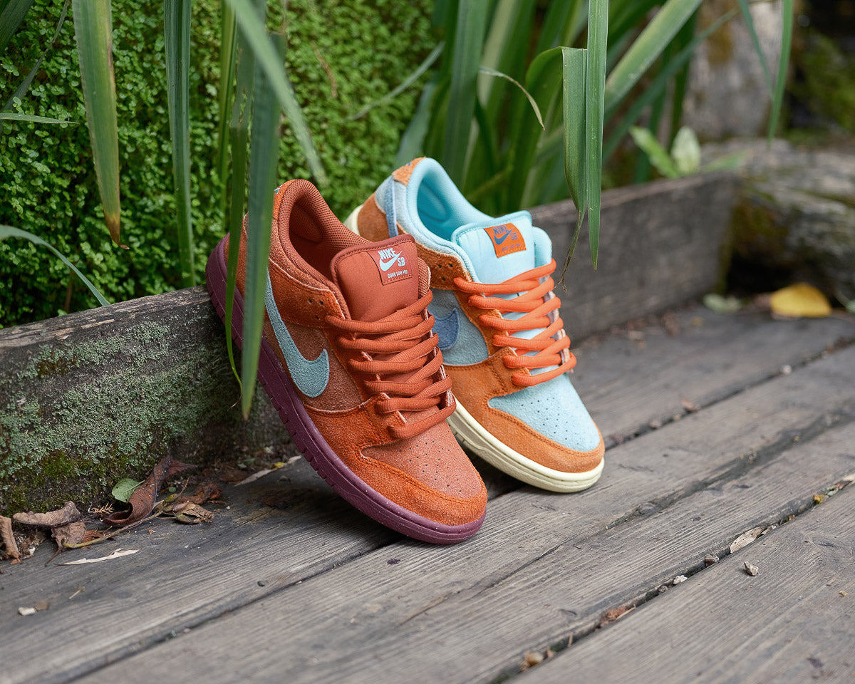 Nike sb dunk low pro dictionary of colour