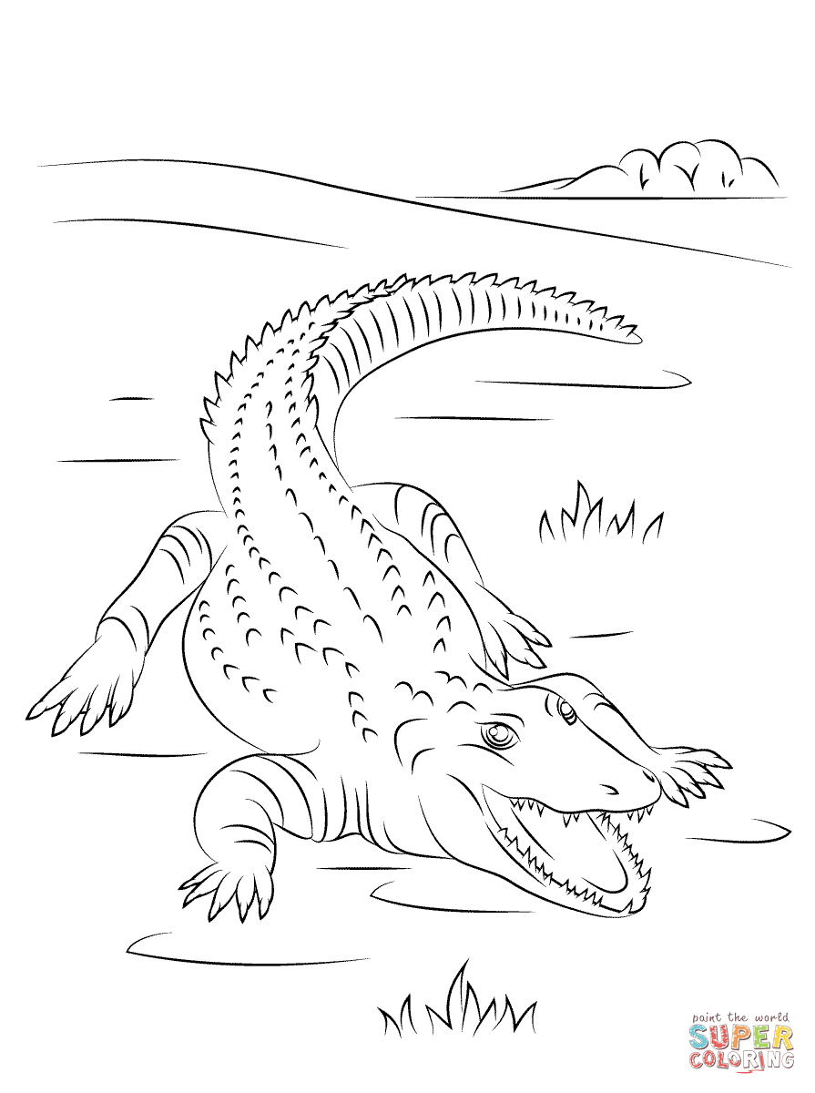 Nile crocodile coloring pages printable coloring pages coloring pages valentine coloring pages