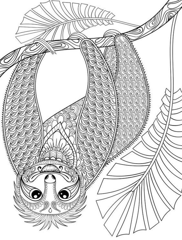Get this adult coloring pages animals sloth
