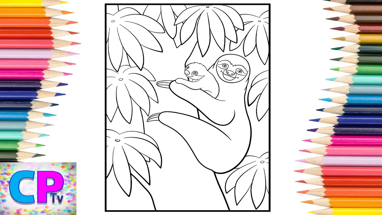 Sloths coloring pageswild anials coloring pagesdiviners
