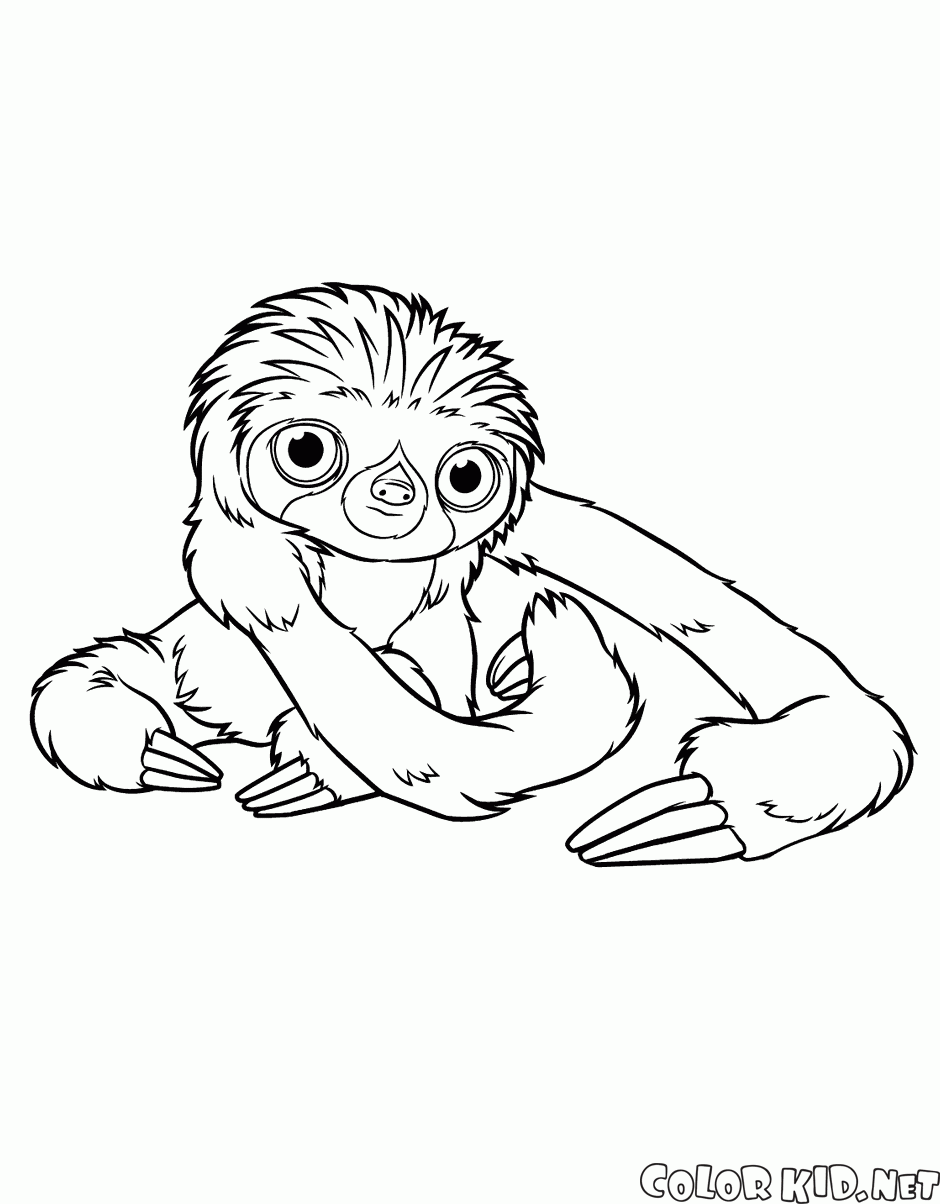 Coloring page