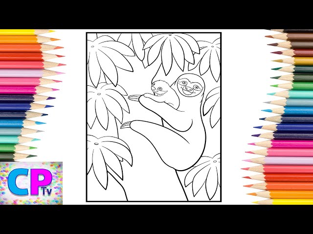 Sloths coloring pageswild anials coloring pagesdiviners