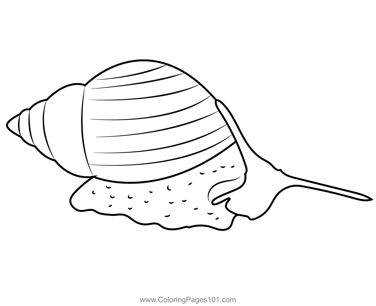 Snail colorg page colorg pages color colorg pages for kids