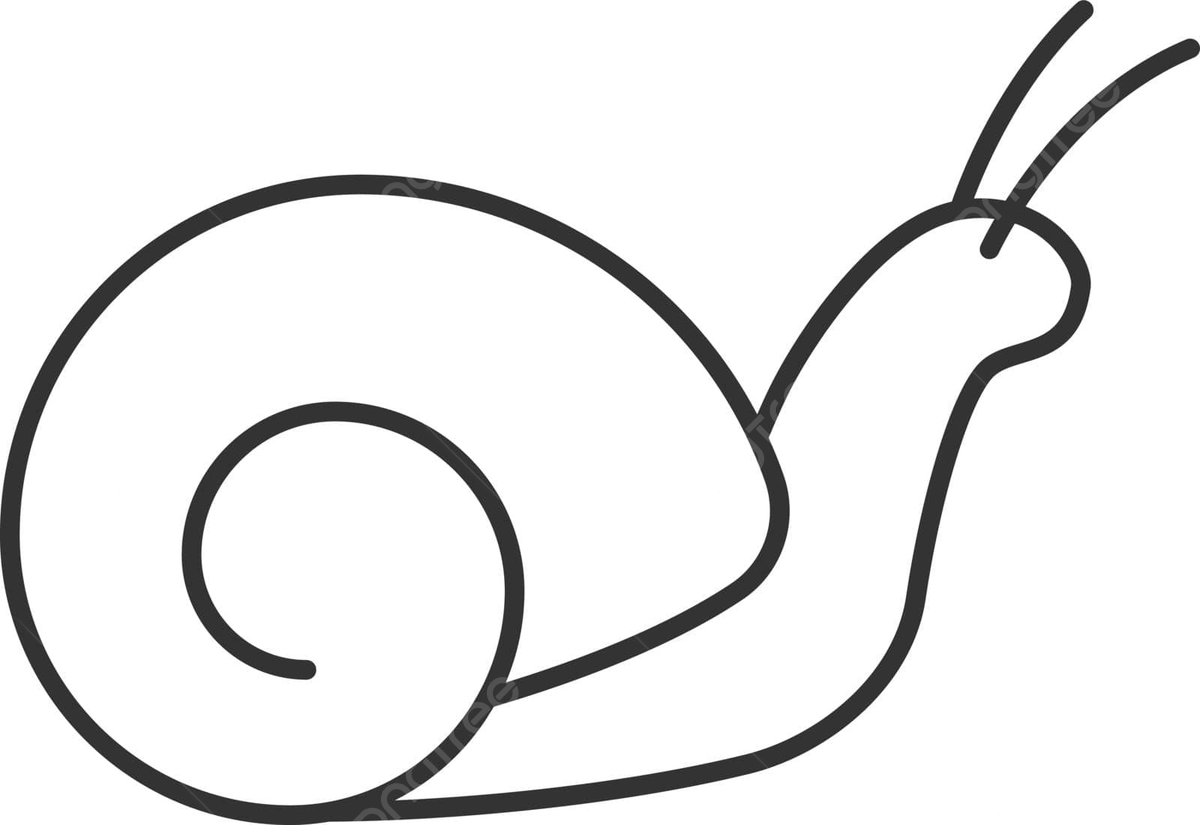 Snail linear icon flat pest slug vector flat pest slug png and vector with transparent background for free download
