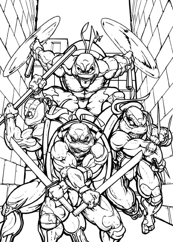 Latest photos turtle coloring pages popular the stunning point in relation to color is that it â ninja turtle coloring pages turtle coloring pages ninja turtles