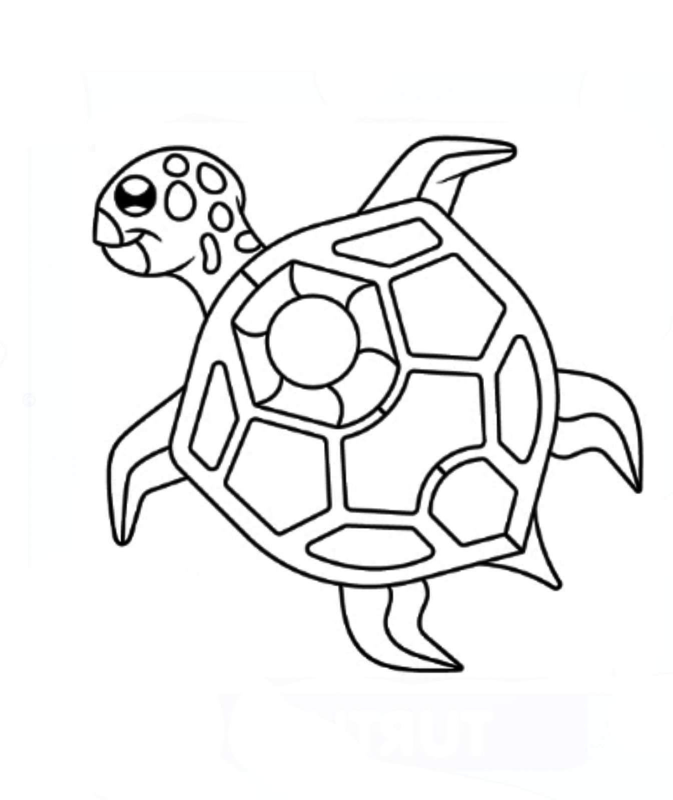 Turtle drawing images draw step by step