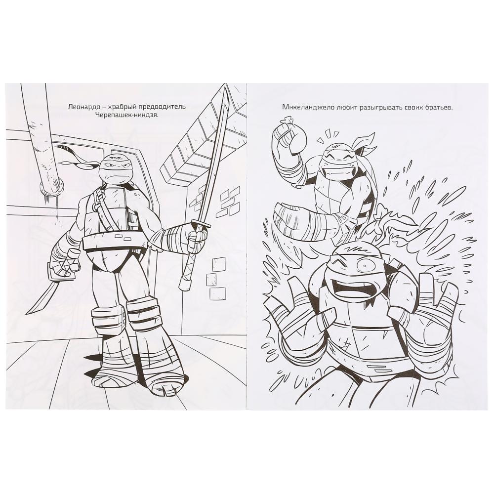 Ninja warriors ninja turtles cartoon a coloring page pages