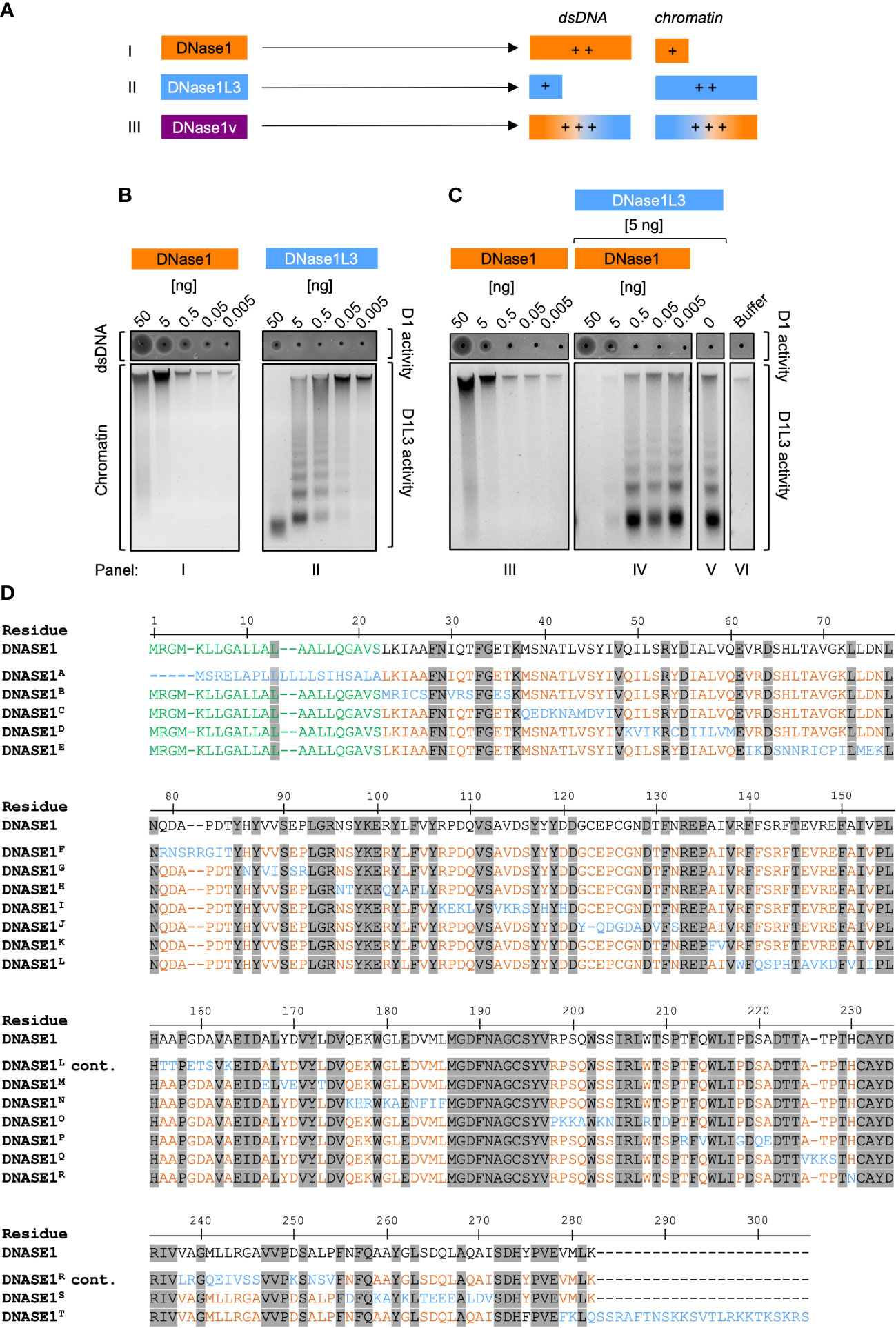 Frontiers targeting nets using dual