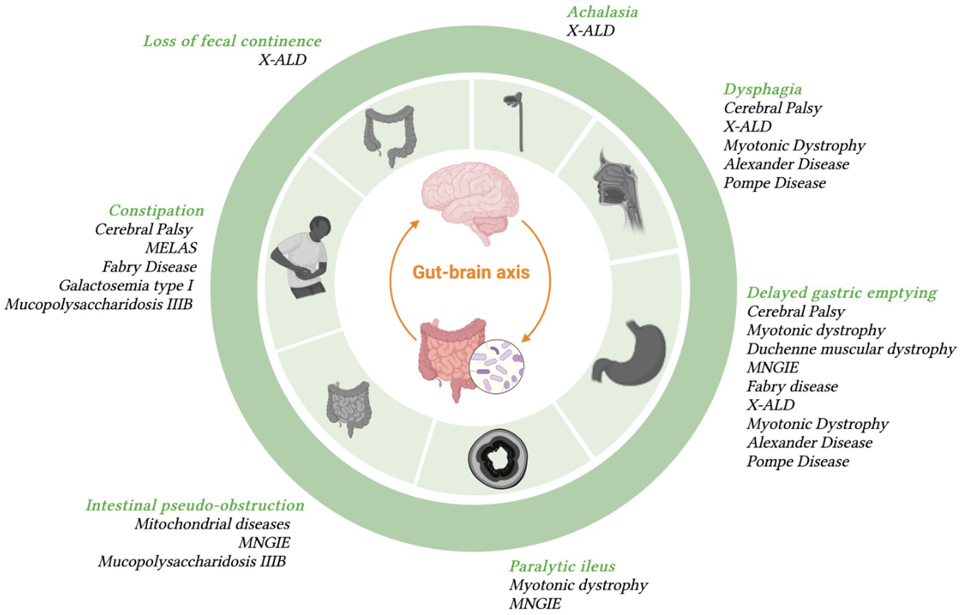Frontiers gut dysmotility in children with neurological impairment the nutritional management